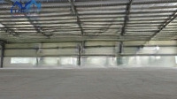 Xưởng 9.500M2 Kcn Phú Mỹ, Vũng Tàu Cho Thuê Giá 3,5Usd/M2