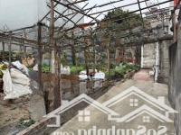 Chính Chủ Gửi Bán 43.2M2 Thôn Dục Tú