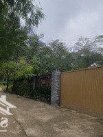 Đất Rộng View Đồi Thông Thơ Mộng, Phù Hợp Xây Villa, Biệt Thự/Homestay Nghỉ Dưỡng