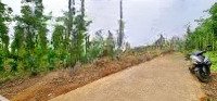 Bán Đất 2327M2, Mặt Tiền Đường 1 Sẹc Đường Tỉnh Lộ 764, Xuân Tây, Cẩm Mỹ, Đồng Nai. Chỉ 990 Triệuiệu