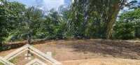 Bán Nhà Đất Vườn 15695M2 Có 300M2 Thổ Cư, Hẽm Oto Đường Quãng Thành, Châu Đức, Brvt. Chỉ 350 Triệu/Sào