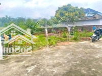 Duy Nhất Một Lô Đất Băng 2 Tl309, Bồ Yên, Hướng Đạo, Tam Dương.
Diện Tích 200M2, Mặt Tiền 6,8M.