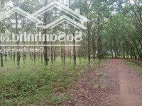 Bán Đất Tại Xã Minh Tâm, Hớn Quản, Bình Phước, 85 Tỷ, 84000 M2 Mặt Tiền Đường 752