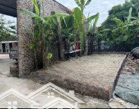 Chính Chủ Bán Lô Đất Đẹp 42,3M2 Bắc Hồng,Đông Anh Đường Ô Tô.cạnh Hồ Điều Hoà,Giáp Trung Tâm Xã