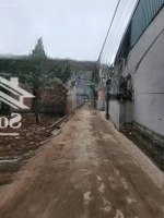 Em Chính Chủ Cần Bán Đất Tại Đường 32, Tam Thuấn, Phúc Thọ, Hà Nội, 3,3 Tỷ, 100M2