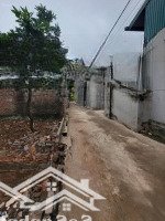 Em Chính Chủ Cần Bán Đất Tại Đường 32, Tam Thuấn, Phúc Thọ, Hà Nội, 3,3 Tỷ, 100M2