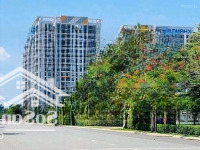 Bán Đất Nền Sổ Hồng, Kdc Phong Phú 4, Bình Chánh. Diện Tích 5X20, Đối Diện Công Viên
