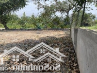 Bán Đất 192M2 Tại Bình Mỹ, Củ Chi, Hcm, Giá Siêu Hời 4,42 Tỷ