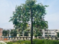 Bán Đất Nền Dự Án Kđt An Bình Tân, 5,5 Tỷ, 95,5M2, Hàng Hiếm Tại Nha Trang Hot!