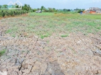 Bán Đất Nông Nghiệp Xã Tân Bình Tân Trụ Đường Xe Hơi Sát Tỉnh Lộ 833D 500M2 Chỉ 349 Triệu