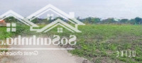Bán Đất Nông Nghiệp Xã Tân Bình Tân Trụ Đường Xe Hơi Sát Tỉnh Lộ 833D 500M2 Chỉ 349 Triệu