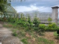 Bán Đất Tại Xã Vị Thủy, Hậu Giang, Giá Bán 1,953 Tỷ, Diện Tích 2000 M2 Có 1811M2 Thổ Cư