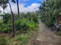 Bán Đất Tại Xã Vị Thủy, Hậu Giang, Giá Bán 1,953 Tỷ, Diện Tích 2000 M2 Có 1811M2 Thổ Cư