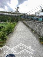 Lô Góc Cực Đẹp Ngay Gần Chợ Cá Kiến Quốc