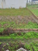Lô Đất Đẹp Duy Nhất Còn Sót Lại - Mặt Đường 3.5 (60M) - Đối Diện Kđt Vườn Cam , Vỉa Hè 8M