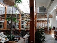Cho Thuê Mặt Bằngmặt Tiềnnúi Thành Ngang 18M - Phù Hợp Làm Showroom, Nhà Hàng Ăn Uống