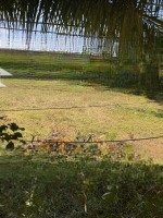Đất Có 200 M2 Thổ Cư,Đường Xe 16 Chỗ,Trước Mặt Có Sông Lớn Mát Mẻ,Khu Dân Cư, An Ninh