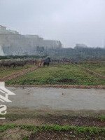 Đất Đẹp Sát Ngã 6 Trịnh Văn Bô , Đường 3.5 , Phân Lô , Đường 24M , Vỉa Hè Rộng