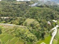 Bán 7900M2 Đất Vườn Có 300M2 Thổ Cư Bám Đường Lớn Vào Khu Du Lịch Thác Mu