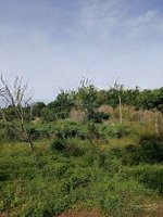 Cần Bán Lô Đất Kdc Châu Thới. Giáp Làng Đhqg. P.bình An. Tp Dĩ An.hướng Đông.