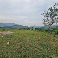 Bán lô góc 1900m² full thổ cư, view hồ đẹp – Kim Bôi, Hòa Bình