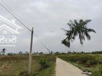 Lô 300M Khu Quy Hoạch Đầm 3 Tiền Phong Quảng Yên Giá Rẻ Nhất Thị Trường 8 Triệu/M