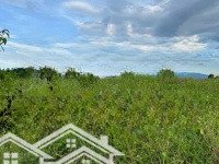 Cần Bán Mảnh Đất Liền Sổ 29 Ha Đất Tại Bình Thuận Giá Bán Chỉ 25 Tỷ