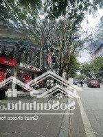 Chủ Bán Nhanh Nhà Mp Thái Hà, 1 Mặt Phố, 1 Mặt Ngõ,Diện Tích135M, 6 Tầng Thang Máy Hiện Đại Chỉ 64 Tỷ