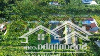Chính Chủ Cần Chuyển Nhượng 2590M2 Có 400M2 Thổ Cư, Mặt Tiền 50M, Địa Chỉ Đất Tại Đá Bạc Liên Sơn