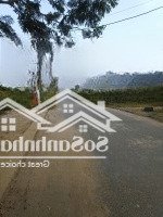 Đất Tái Định Cư Gò Lăng 6, Lô Đẹp Kề Lô Góc, 150M2 Ngang Rộng 7,5M Hướng Đông Nam.