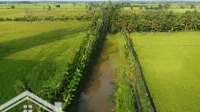 Em Cần Sang Lại 5,3 Công Đất Lúa Mặt Tiền 02 Bờ Kênh Lớn Tại Huyện Châu Thành, Trà Vinh