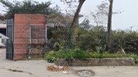 Bán Gấp Lô Đất 110M2 Trục Chính Tổ Dân Phố Việt Hùng, Thị Trấn Thắng, Hiệp Hòa, Bg