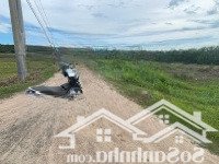 Bán Đấtmặt Tiềnđường Cơ Động Siêu To Dt649, An Hoà Hải, Tuy An, Phú Yên - 3200M2, Có Thổ Cư - Giá Bán 6,3Tỷ