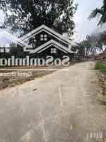 Siêu Hót Siêu Phẩm F0 Rơi Tiền Là Lãi Ngay