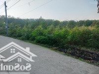Đất Ngộp Bình Dương 100% Đất Dân