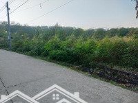 Đất Ngộp Bình Dương 100% Đất Dân