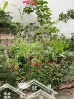 Bán Đất 45M2 Tại Bắc Biên, 5.5 Tỷ, Long Biên, Hà Nội