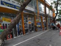 Bán Nhà Mặt Phố Cầu Giấydiện Tích600M2,Mặt Tiền18.6M, Kinh Doanh Bất Chấp, Giá Đầu Tư Có 1 0 2, Giá Bán 307 Tỷ