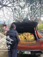 Cần Bán Đất Vị Trí Đẹp (Sổ Đỏ Chính Chủ) - Thôn Cốc Đồng Tâm, Xã Minh Quang, Huyện Ba Vì, Hà Nội.