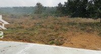 Bán Gấp Đất Nghỉ Dưỡng View Cao, Vị Trí Đắc Địa, Tiềm Năng Sinh Lời Cao, Phù Hợp Xây Homestay
