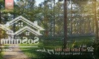 Biệt Thự Thanh Xuân Valley - Tts Chỉ Từ Hơn 5Xtr/M2. Vị Trí Đẹp. Liên Hệ: 0918114743