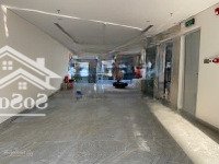 Bán Toà Văn Phòng 7 Tầng Cách Cầu Rồng 250M. Cực Kỳ Đẳng Cấp. Diện Tích 100M2, Ngang 7M. Kẹp Cống
