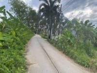 Bán Đất Thổ 400M2, Mặt Tiền View Kênh Mát Mẻ, Thoáng Mát, Thích Hợp Xây Nhà Vườn