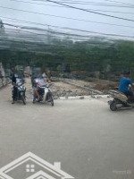 Chính Chủ Cần Tiền Bán Gấp Lô Góc Đẹp Cẩm Cơ, Hồng Vân, Thường Tins