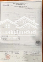 Đất Siêu Đẹp Mặt Tiền Đường Lồ Ồ Bình An ,Phường Bình An Diện Tích :100M2 Giá Bán 3.999 Tỷ