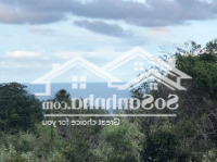 Bán Lô Đất View Biển 4500M2 Giá Bán 699 Triệu Rẻ Nhất Thị Trường