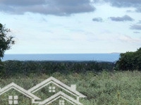 Bán Lô Đất View Biển 4500M2 Giá Bán 699 Triệu Rẻ Nhất Thị Trường