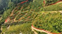 Hàng Hiếm A Chị Mua Lô Này Dựng Nhà, Làm Trang Trại Thì Hết Ý
E Bán 10 Ha Đất Rừng Sản Xuất Có 5 Ha