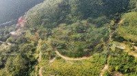 Hàng Hiếm A Chị Mua Lô Này Dựng Nhà, Làm Trang Trại Thì Hết Ý
E Bán 10 Ha Đất Rừng Sản Xuất Có 5 Ha