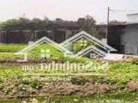 Chủ Cần Bán Đất Cln Xã Tân Quý Tây, Huyện Bình Chánh, Thành Phố Hồ Chí Minh